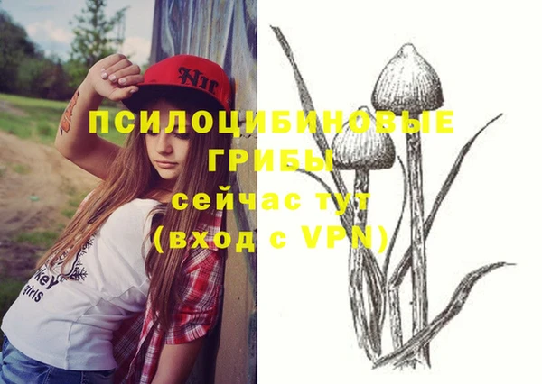 каннабис Алексеевка